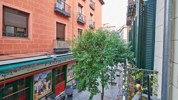 Habitacion Maravillosa En Apartamento Compartido Madrid Centro Bagian luar foto